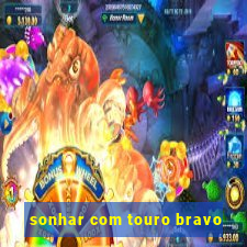 sonhar com touro bravo